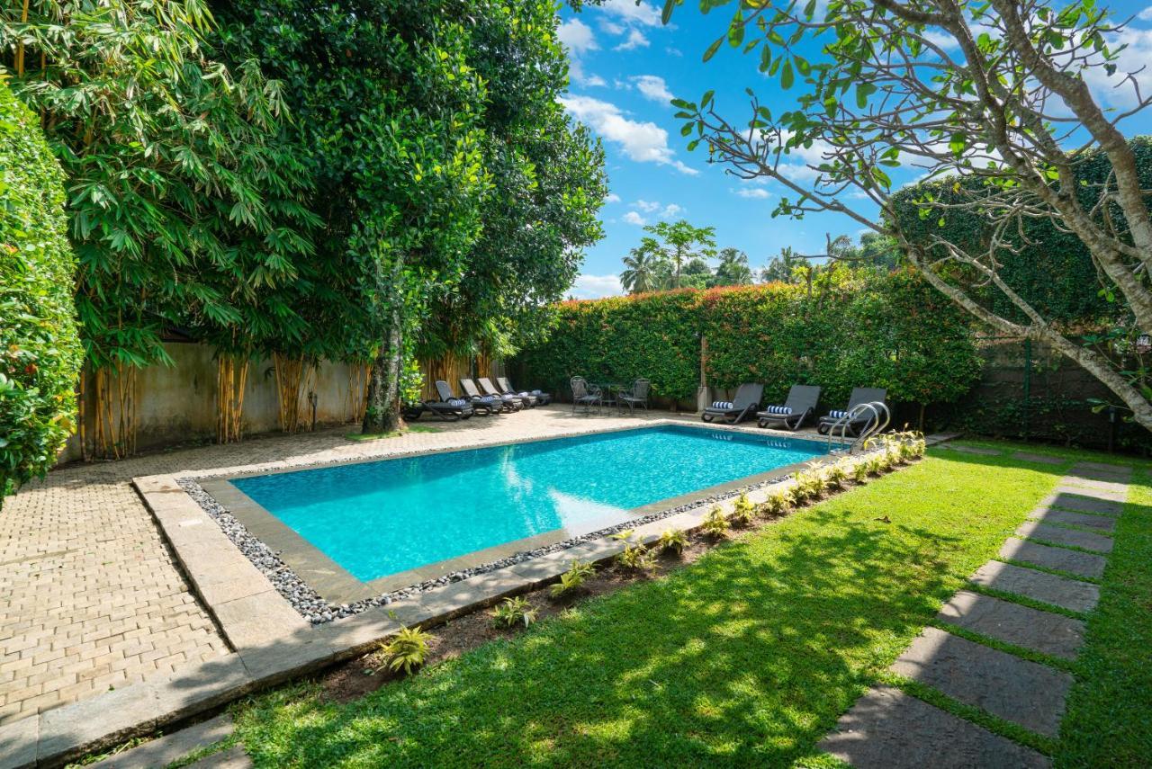 Clove Villa Kandy Exteriér fotografie